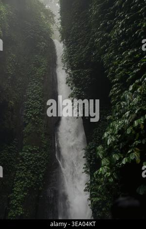 Numerose cascate che si arrampicano su rocce muschiate a Sekumpul, Bali Foto Stock