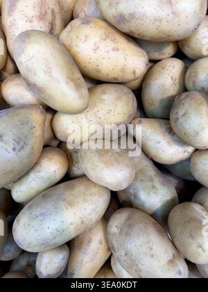 Una dettagliata prospettiva dall'alto verso il basso di una grande pila di patate fresche russet, evidenziandone la consistenza terrosa e le imperfezioni naturali. Ideale per il cibo Foto Stock