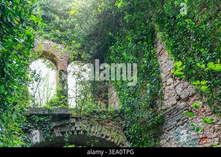 Antichi archi in pietra e resti di edificio abbandonato circondato da una fitta vegetazione. Rovine sovrastate con architettura stratificata e ricoperte di edera Foto Stock
