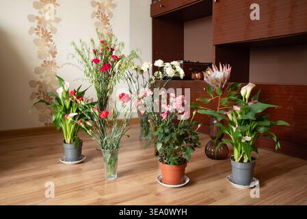 Fiori freschi assortiti in pentole e vasi disposti su un pavimento in legno in un intimo salotto interno. Foto Stock