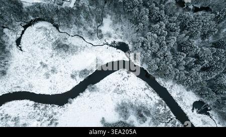 Vista aerea di un paesaggio innevato caratterizzato da un fiume serpeggiante che si intaglia attraverso un paese delle meraviglie invernali, con alberi innevati. Foto Stock