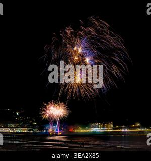 Fuochi d'artificio Foto Stock