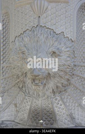 Dettaglio ravvicinato di un rilievo ornato in pietra a testa di leone intagliato con scala intricata e motivi di piume su una facciata storica di un edificio a Granada Foto Stock