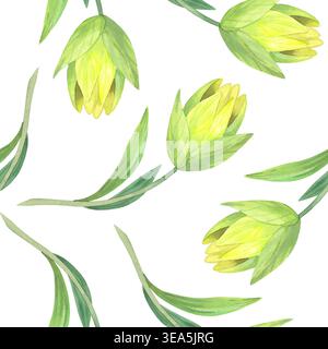 Modello senza cuciture dei gigli. Illustrazione ad acquerello fatta a mano. Per il design dell'imballaggio, le schede, la copertina, le stampe, le etichette dei prodotti e il tessuto. Foto Stock