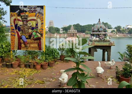 Tempio Kapaleeshwar, Chennai (Madras), Tamil Nadu, India meridionale Foto Stock