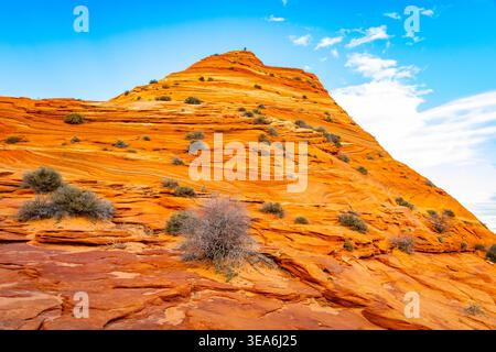 L'ampia vista panoramica mostra le formazioni di arenaria lungo il Wave Trail a Coyote Buttes a nord, al confine con lo Utah dell'Arizona Foto Stock