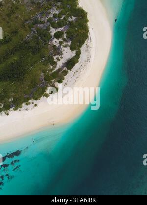 Veduta aerea del gruppo Farquhar con una spiaggia incontaminata di sabbia bianca, lussureggiante vegetazione tropicale verde e acque cristalline turchesi dell'oceano a se Foto Stock