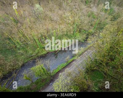 Il fiume Wye scorre lungo la strada B6049 vista dal Monsal Trail nel Peak District National Park, Derbyshire, Inghilterra. Foto Stock