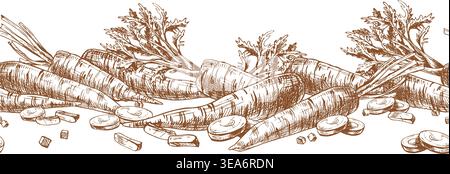 Schizzo disegnato a mano di carote fresche. Illustrazione vegetale con linea di inchiostro in stile art per il design della mietitura, il confezionamento agricolo, il menu della cucina e. Illustrazione Vettoriale
