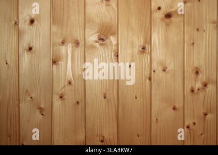 Le tavole di legno chiaro sono disposte verticalmente per formare una parete. Il legno mostra nodi e motivi di grana. La superficie ha una finitura liscia e un Co naturale Foto Stock