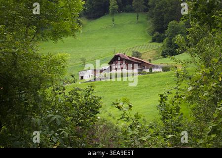 Tradizionale cascina svizzera su prato verde in un tranquillo paesaggio rurale. Foto Stock