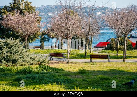 Tranquilla fuga al mare. L'idilliaco Waterfront Sanctuary presenta barche vibranti e vegetazione lussureggiante Foto Stock