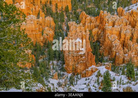 Una vista panoramica che si affaccia sull'anfiteatro del Bryce Canyon, caratterizzato da iconici hoodoos arancioni e pini annidati in un paesaggio invernale innevato. Foto Stock