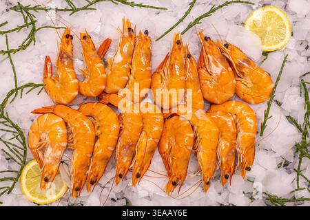 Una selezione di grandi gamberetti disposti su un letto di ghiaccio e' esposta. Le fette di limone e le erbe marine circondano i gamberi, mettendo in risalto il fresco seafo Foto Stock