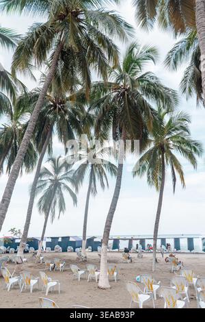 Spiaggia tropicale caratterizzata da numerose alte palme appoggiate su sabbia chiara, con molte sedie di plastica bianca e tavoli disposti per rilassarsi, prov Foto Stock