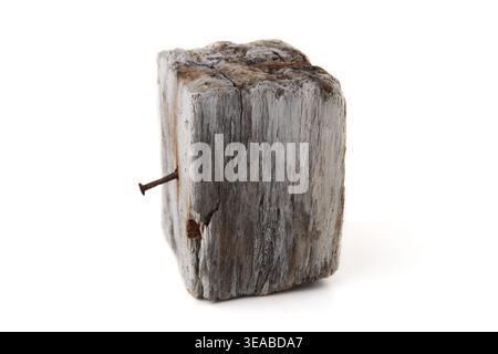 Driftwood isolato su sfondo bianco. Un pezzo di legno marino. Foto Stock