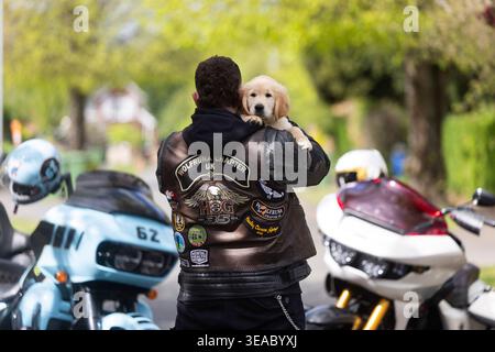 SOLO PER USO EDITORIALE, Kian, un Golden Retriever di dieci settimane incontra il pilota di Harley-Davidson Dave Brace a Kidderminster, mentre Guide Dogs invita altri motociclisti a fare volontariato come cacciatori di cuccioli. Data di pubblicazione: Mercoledì 22 aprile 2026. Foto Stock