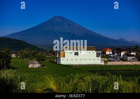 Vulcano del Monte Agung con campi di riso in primo piano, Bali, Indonesia Foto Stock