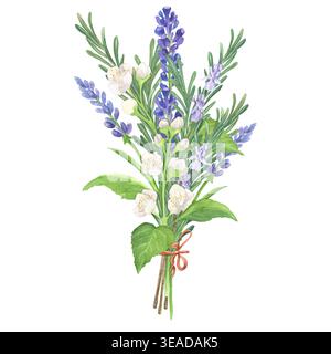 Bouquet di acquerelli di lavanda, gelsomino e rosmarino legati con filo. Isolato. Illustrazione dipinta a mano. Per ricette, confezioni di tè, cosme naturale Foto Stock
