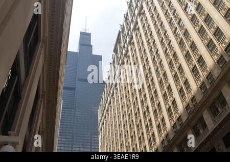 Chicago, Illinois, Stati Uniti d'America - 15 maggio 2025: Willis (Sears) Tower incombe sugli edifici del circuito di Chicago Foto Stock