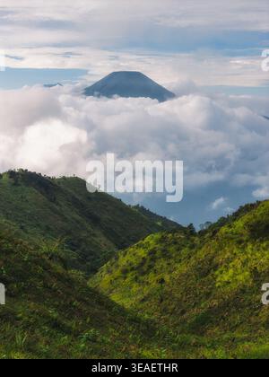 Vista aerea del picco Gunung Prau che si innalza sopra un mare denso di nuvole bianche con lussureggianti creste di montagna verdi in primo piano sotto un cielo morbido il Monte Prau Foto Stock