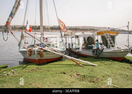 Tradizionali barche a vela egiziane, felucche, ormeggiate lungo le rive del Nilo. Foto Stock