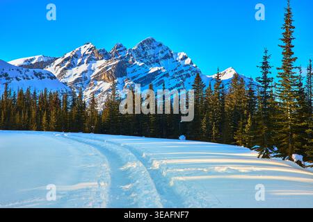 Snow Covered Field Evergreen Forest e Snow Close Mountains Inverno mattina Foto Stock