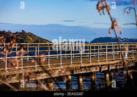 Petone Wharf visto attraverso la vegetazione costiera con Wellington Harbour e colline sullo sfondo, Lower Hutt, nuova Zelanda. Foto Stock