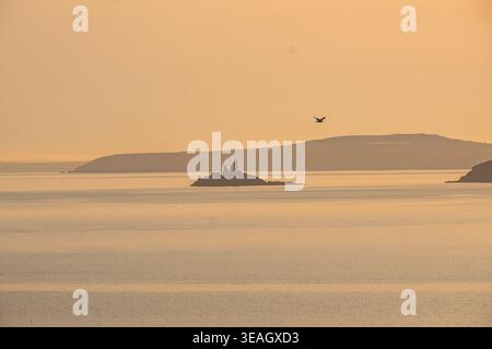La spiaggia di St Ives, con il suo faro che si staglia contro un cielo tramonto dorato sul mare calmo della Cornovaglia, Inghilterra, Regno Unito, con una mosca di uccelli marini Foto Stock