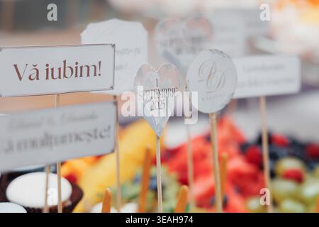 Etichette per primi piani con espositori di frutta vibrante, insegne scritte a mano su spiedini di legno, frutti di bosco misti e agrumi a fette disposte su piatto, sfocate Foto Stock