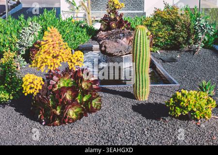Il giardino moderno presenta varie piante grasse e cactus disposti in letti di ghiaia con fioriere decorative in pietra. Le piante tolleranti alla siccità creano un att Foto Stock