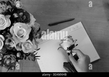 Le mani femminili tengono in mano un fiore di rosa. Quaderno, diario con penna su un tavolo di legno vicino a un mazzo di rose multicolore sullo sfondo. Vista dall'alto, piatta Foto Stock
