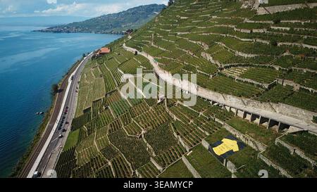 Veduta aerea dei vigneti terrazzati di Lavaux che scendono verso le tranquille acque blu del Lago di Ginevra, un arazzo di verdi e marroni, Bourg-en-Lavaux Foto Stock