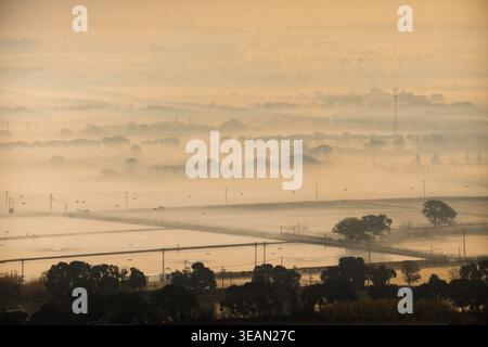 Vista aerea di un paesaggio nebbioso dove campi e alberi sono velati in un bagliore morbido ed etereo, che getta lunghe ombre sotto la luce diffusa del sole, Roma, i Foto Stock