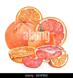 Acquerello pompelmo e arancia con frutta intera e fette. Frutta fresca e succosa. Isolato. Illustrazioni dipinte a mano per menu di succhi, confezioni, Foto Stock