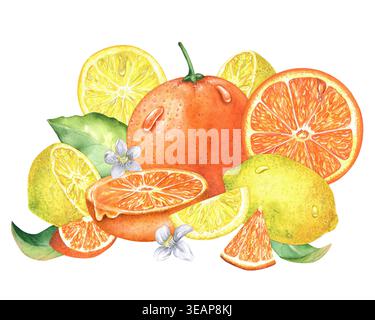 Illustrazione ad acquerello di arancio e limone con fette, spicchi di agrumi succosi, foglie verdi e fiori bianchi, dipinte a mano e isolate. Per l'imballaggio Foto Stock