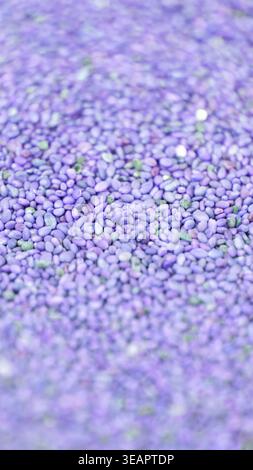 Semi viola che coprono la superficie con una messa a fuoco morbida e una profondità bassa creando una trama colorata uniforme adatta per l'imballaggio o la diffusione decorativa. Foto Stock
