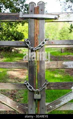 Un cancello in legno resistente agli agenti atmosferici fissato saldamente con due catene metalliche spesse e lucchetti pesanti, bloccando un percorso che conduce a un campo verde e erboso. Foto Stock