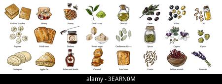 Illustrazione del cibo, acquerello, spezie ed erbe. cioccolato, cucchiai, sciroppo d'acero, caramelle di bambù, caramello. Dolci e ingredienti Illustrazione Vettoriale