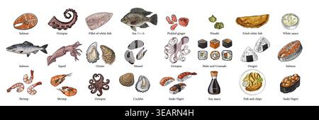 Illustrazione del cibo colorato pesce disegnato a mano: Pesce persico, polpo, ostriche, salmone Illustrazione Vettoriale