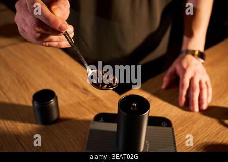 Cucchiaio di chicchi di caffè appena tostati pronti per il processo di macinazione Foto Stock