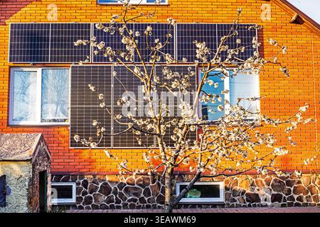 I primi alberi di ciliegio in fiore al sole sullo sfondo di una casa con pannelli solari Foto Stock