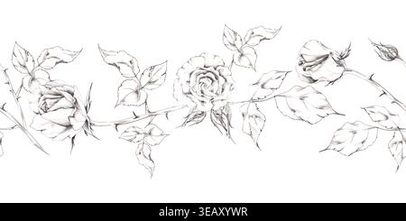 Rosa romantica, fiori di gardenia, gemme di camelia con foglie su steli spinosi. Delicato disegno a matita disegnato a mano. Elemento banner floreale per San Valentino Foto Stock