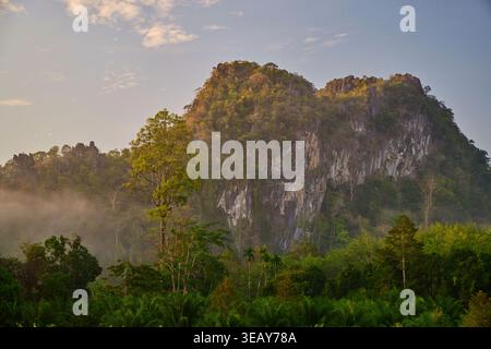 Lussureggianti montagne verdi avvolte da nebbia e nebbia d'atmosfera Foto Stock