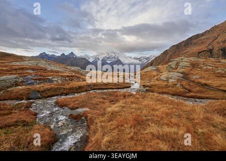 Torrente di montagna che attraversa un prato alpino in Valmalenco, Lombardia, Italia, con cime innevate sotto un suggestivo cielo autunnale. Foto Stock