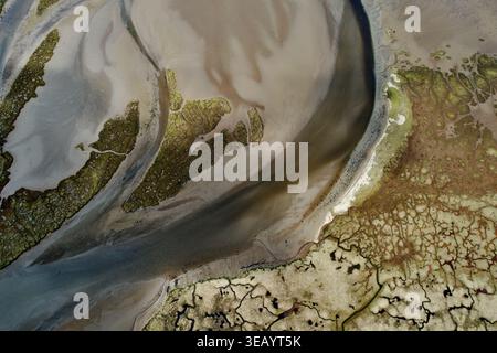Vista aerea dei tortuosi corsi d'acqua che si snodano attraverso paesaggi sabbiosi, orlati da una vibrante vegetazione verde che crea un arazzo di texture e toni, L Foto Stock