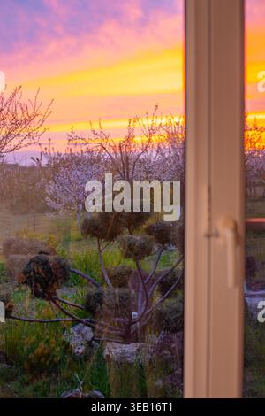 Una vista attraverso una finestra di un giardino di frutta in fiore durante un vibrante tramonto. Serata primaverile, giardino paesaggistico, vista tramonto. Foto Stock
