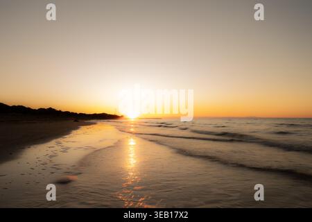 Una foto macro dettagliata di piccole conchiglie bagnate a riva sulla spiaggia di Bibione. La sabbia bagnata riflette la delicata luce del mattino, mostrando texture fini e wat Foto Stock