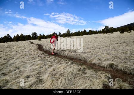 Trail runner maschile che si allenano su sentieri in erba asciutta Foto Stock