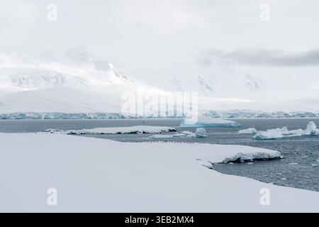 Vista di una colonia di pinguini sul ghiaccio con iceberg che galleggiano nelle fredde acque oceaniche e sulle montagne innevate in Antartide. Foto Stock